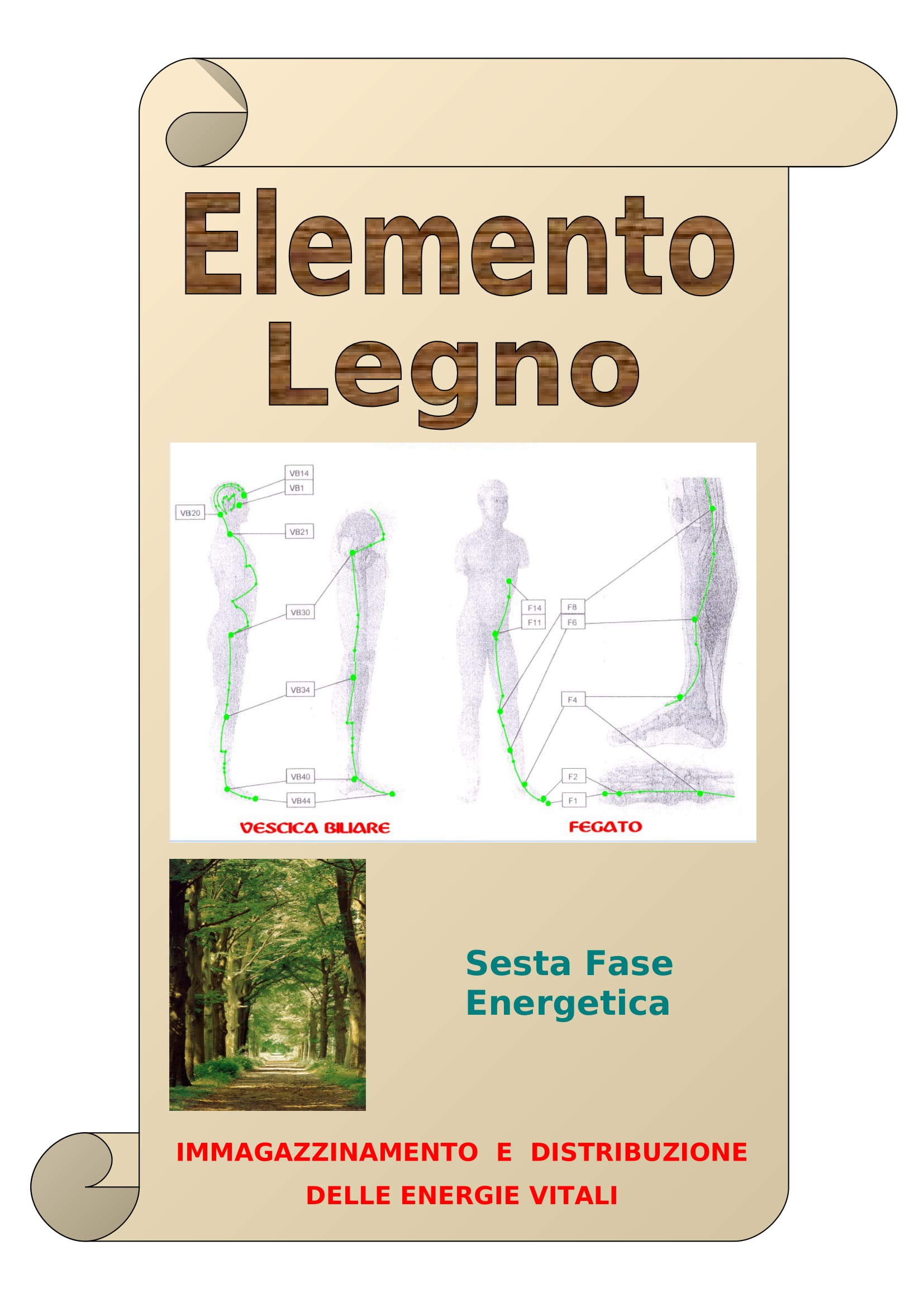 Elemento Legno 6^ Fase Energetica